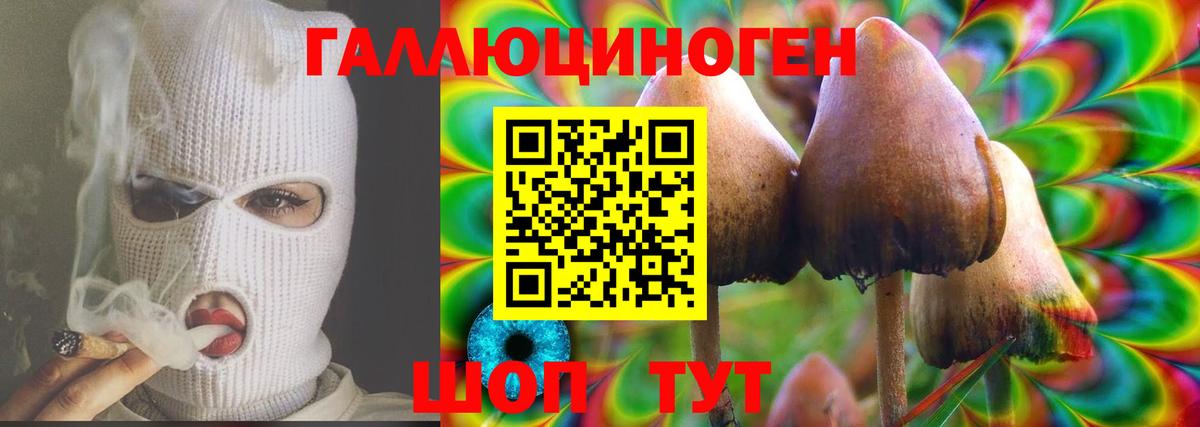 Галлюциногенные грибы прущие грибы Семёнов